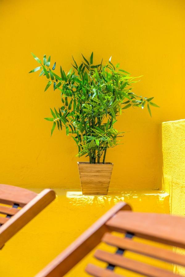 Lejlighed Alfama, Bright And Spacious With Private Terrace, By Timecooler Lisboa